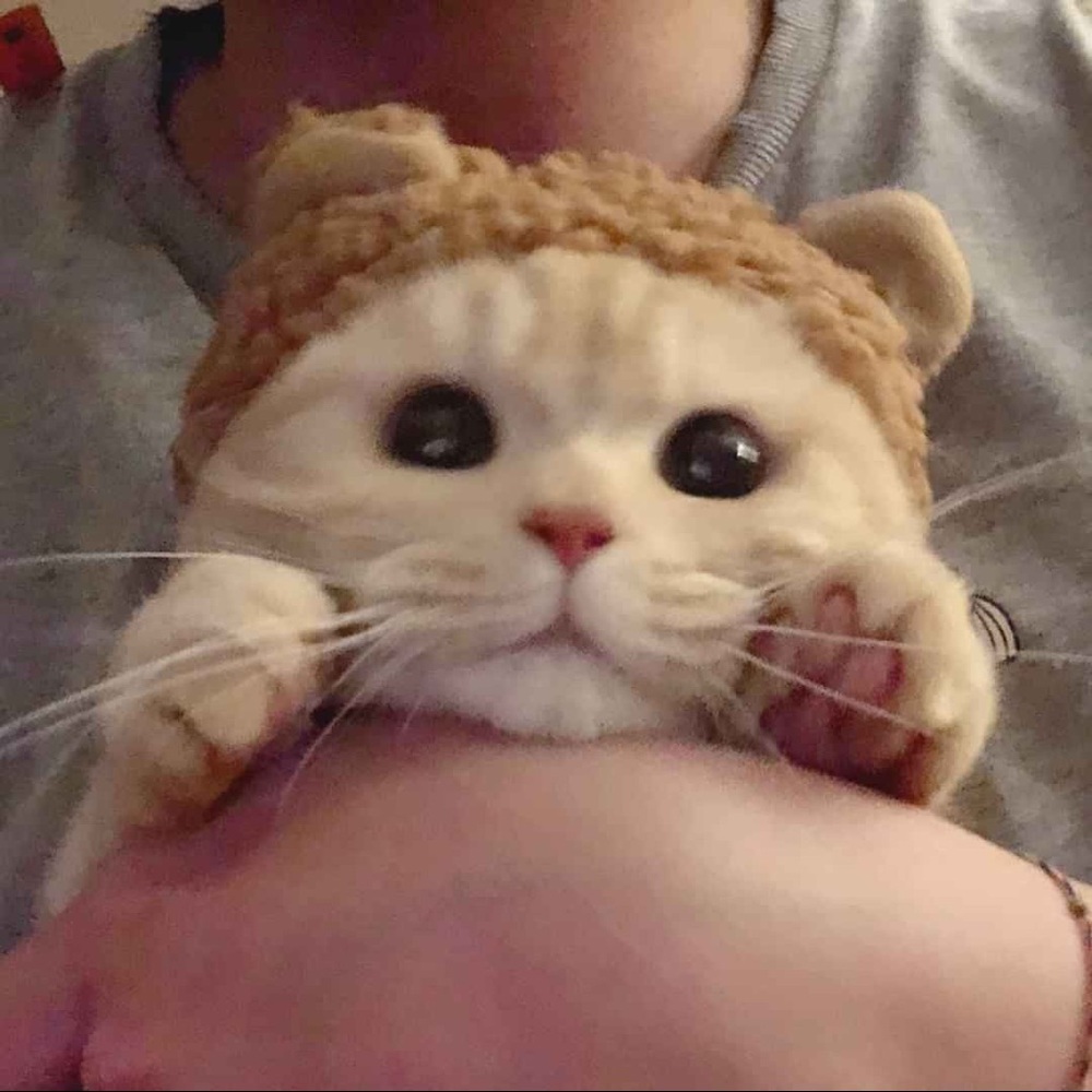 Meet your Posher, Victor